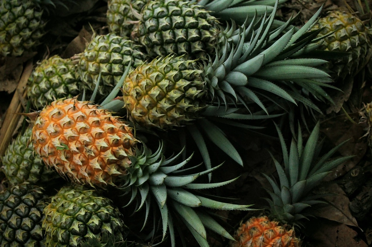 Fresh Fruits